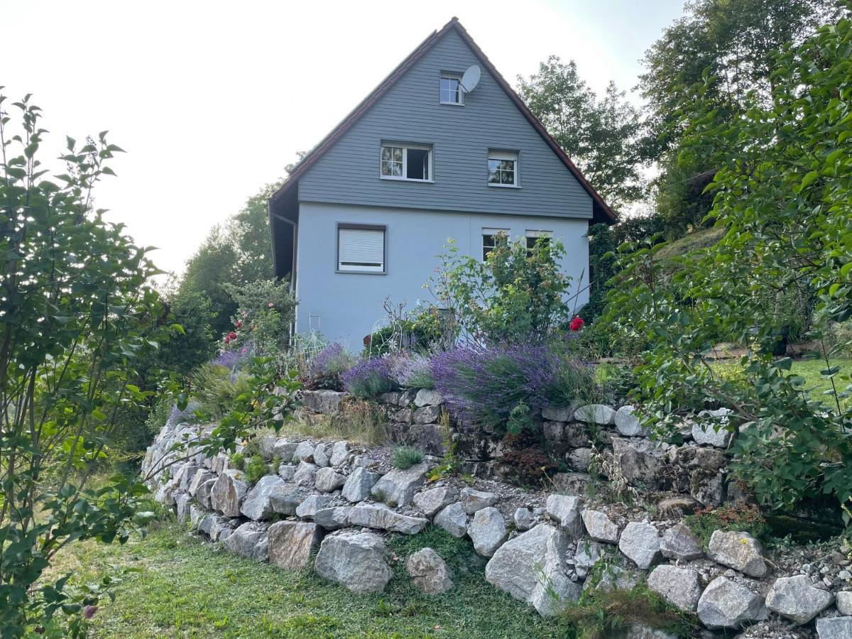 Altes Berghaus Apartment Obertal  Exterior photo