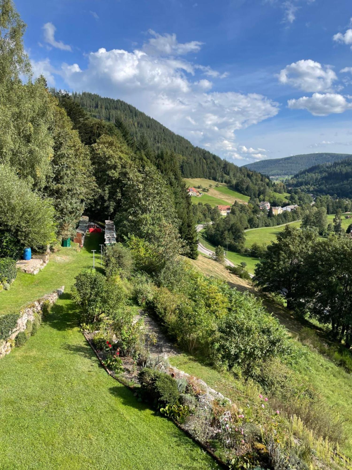 Altes Berghaus Apartment Obertal  Exterior photo